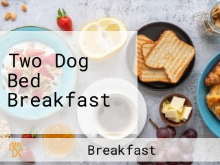 Two Dog Bed Breakfast