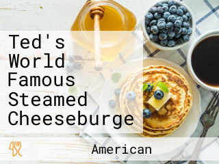 Ted's World Famous Steamed Cheeseburge