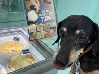 Salty Paws Doggie Ice Cream, Treats, And Bakery Shop