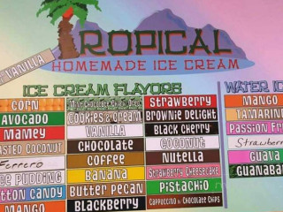 Tropical Homemade Ice Cream