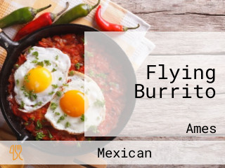 Flying Burrito
