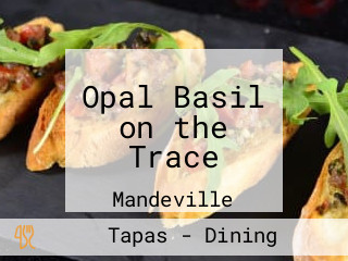 Opal Basil on the Trace
