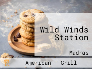 Wild Winds Station