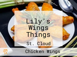 Lily's Wings Things