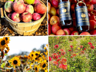 Slo Creek Farms