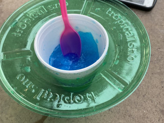 Dylan And Erik's Tropical Sno