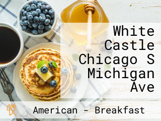 White Castle Chicago S Michigan Ave