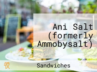 Ani Salt (formerly Ammobysalt)