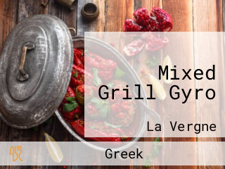 Mixed Grill Gyro