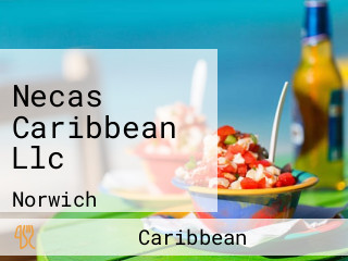 Necas Caribbean Llc