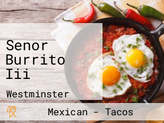 Senor Burrito Iii