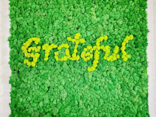 Grateful Juice