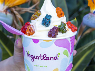 Yogurtland West Jordan open hours