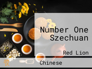 Number One Szechuan