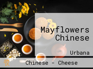 Mayflowers Chinese