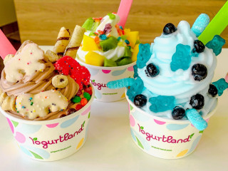 Yogurtland Santa Ana