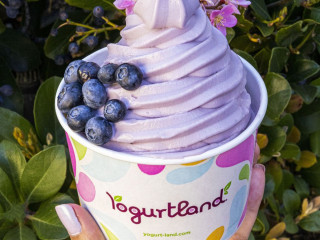 Yogurtland Yorba Linda