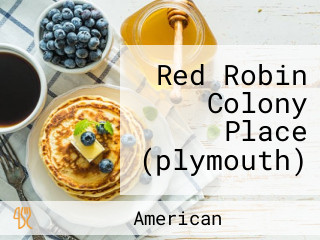Red Robin Colony Place (plymouth)