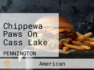 Chippewa Paws On Cass Lake