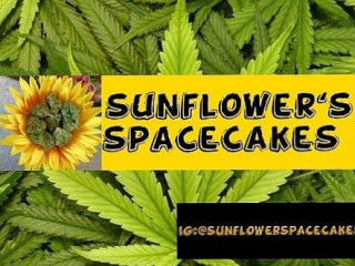 Sunflower's Space Cakes