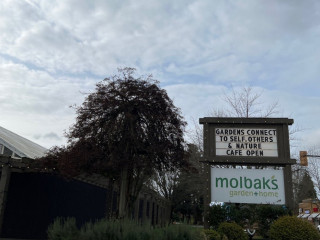 Molbak's Garden Café