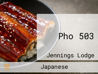 Pho 503