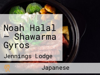 Noah Halal — Shawarma Gyros