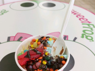 Sweetfrog Premium Frozen Yogurt