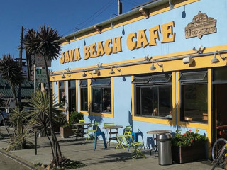 Java Beach At The Zoo