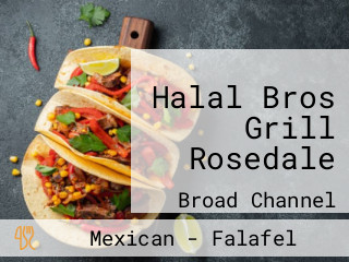 Halal Bros Grill Rosedale