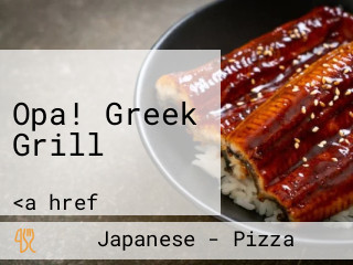 Opa! Greek Grill