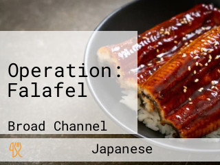 Operation: Falafel