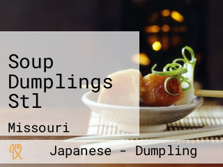 Soup Dumplings Stl