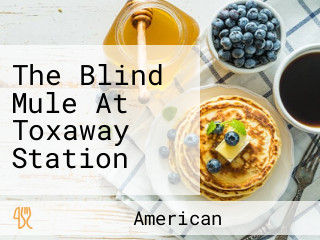 The Blind Mule At Toxaway Station