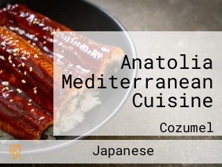 Anatolia Mediterranean Cuisine