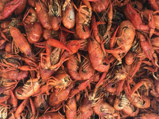 Cajun Claws Seafood Boilers In Breaux Bridge