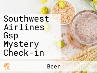 Southwest Airlines Gsp Mystery Check-in