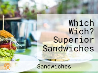 Which Wich? Superior Sandwiches