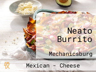 Neato Burrito