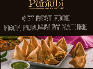 Punjabi By Nature