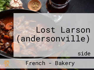 Lost Larson (andersonville)