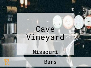 Cave Vineyard