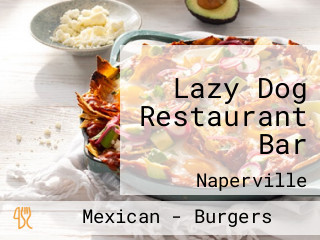 Lazy Dog Restaurant Bar