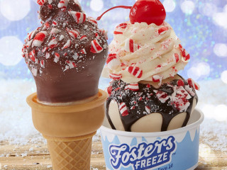 Fosters Freeze