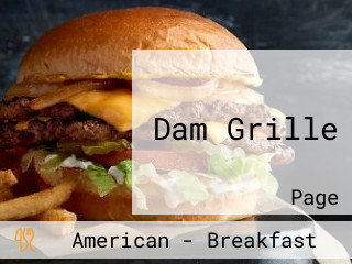 Dam Grille