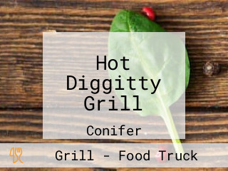 Hot Diggitty Grill