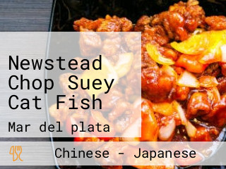 Newstead Chop Suey Cat Fish