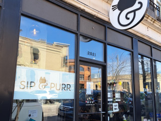 Sip Purr Cat Café