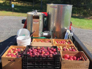 Little Apple Cidery