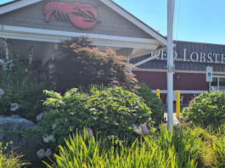 Red Lobster